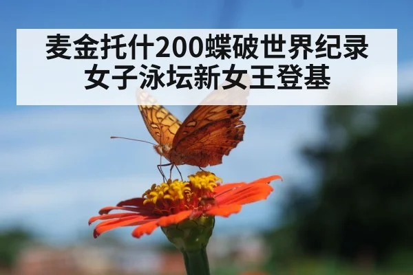 麦金托什200蝶破世界纪录 女子泳坛新女王登基